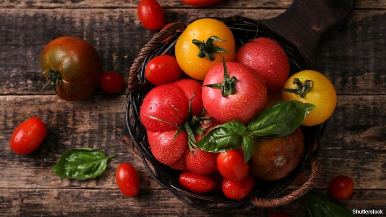 Jak správně skladovat rajčata?