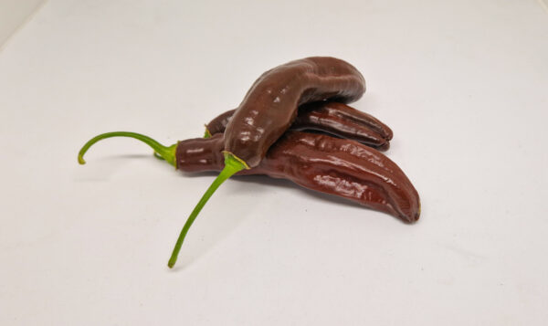 Ají Panca - semínka chilli