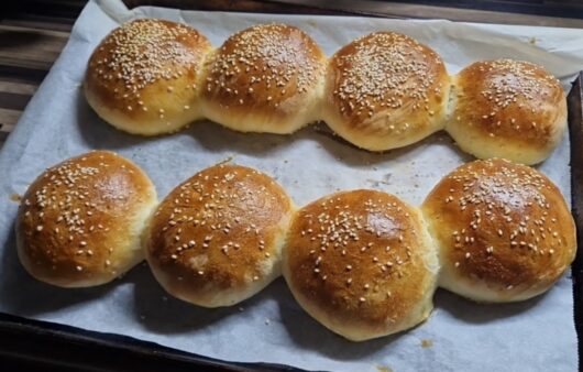 Domácí housky na hamburger