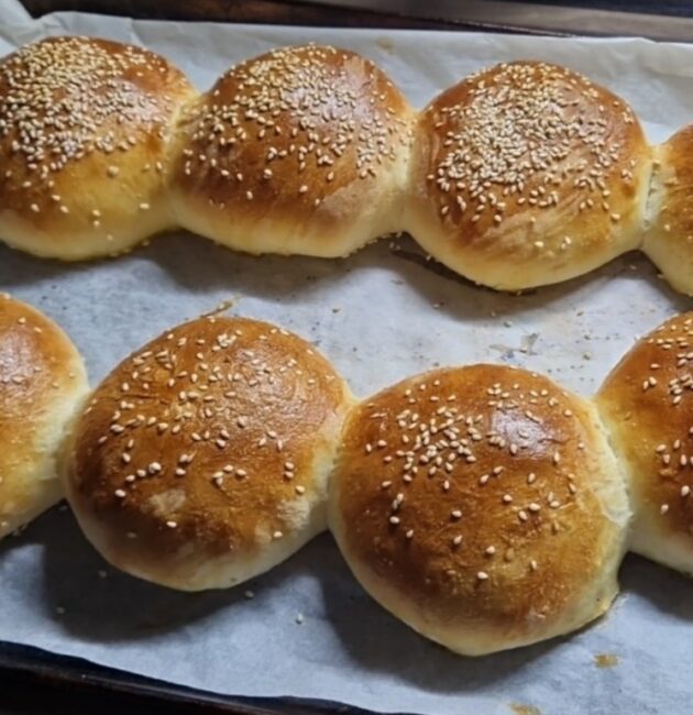 Domácí housky na hamburger