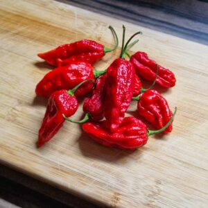 Bhut Jolokia Red - semínka chilli