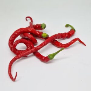 Thunder Mountain Longhorn (T.M. Longhorn) - semínka chilli