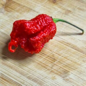 Carolina Reaper - semínka chilli