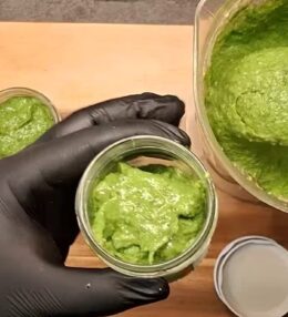 Pesto z divokého česneku