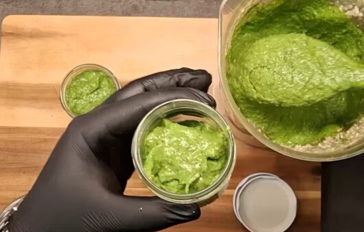 Pesto z divokého česneku