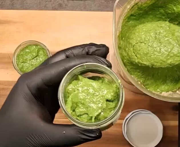 Pesto z divokého česneku