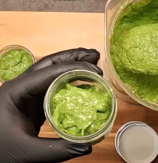 Pesto z divokého česneku